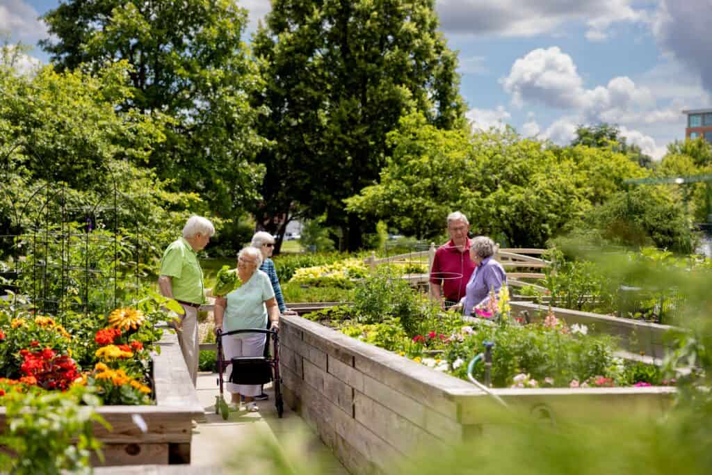 older adults in garden talking